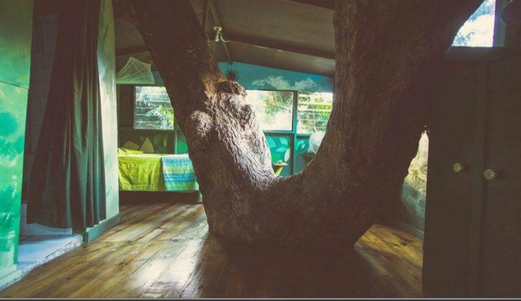 Prince Valley Guesthouse Irish Town ภายนอก รูปภาพ